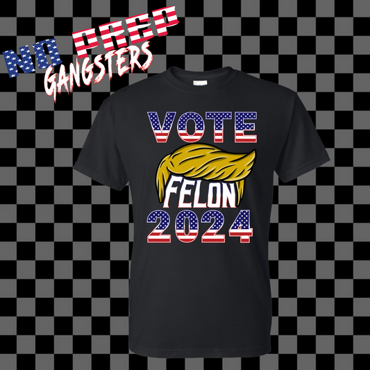 Vote Felon 2024